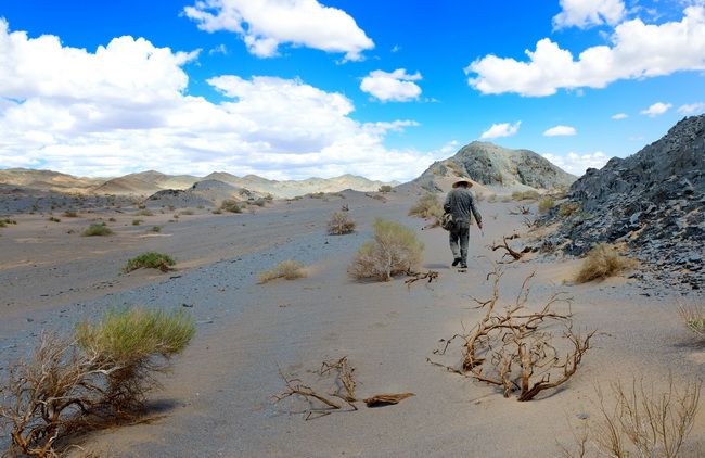 18 組照2-4：《荒漠獨(dú)行俠》-王權(quán)_調(diào)整大小.JPG